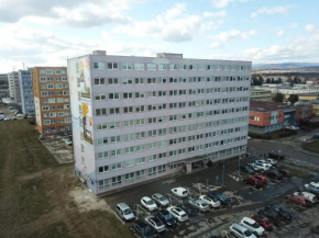 Šaca Home